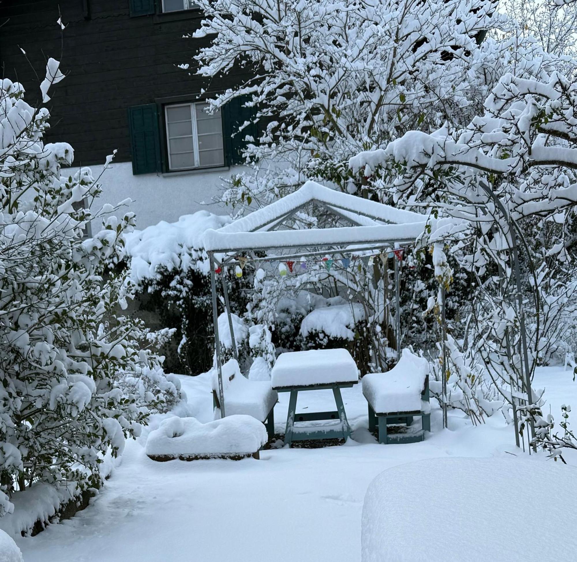 楚赫维尔阳光宾馆住宿加早餐旅馆 外观 照片